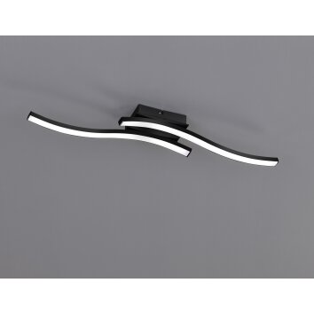 Reality Route Taklampa LED Svart, 2-ljuskällor