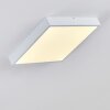 Broglen Taklampa, Panel LED Vit, 1-ljuskällor