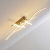 Mapleton Taklampa LED Nickel matt, 4-ljuskällor