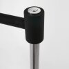 Steinhauer Mexlite Golvlampa, Golvlampa LED Svart, 1-ljuskällor