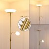 Gismaro strålkastare, Golvlampa Mässing, 3-ljuskällor