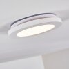 Siguna Taklampa LED Vit, 1-ljuskällor