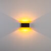 Dapp Up & Down Lampa, Vägglampa Guld, Svart, 1-ljuskällor