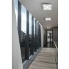 Fabas Luce Swan Taklampa LED Vit, 5-ljuskällor