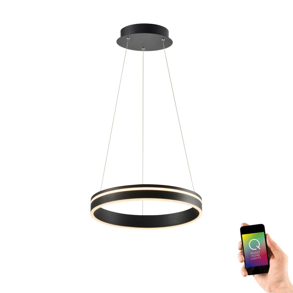 Paul Neuhaus Q-Serie Q-VITO Pendelbelysning LED Antracit, 1-ljuskällor, Fjärrkontroll main product photo