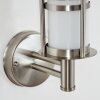 Forli vägglampa utomhus, Vägglampa Färg i rostfritt stål, 1-ljuskällor
