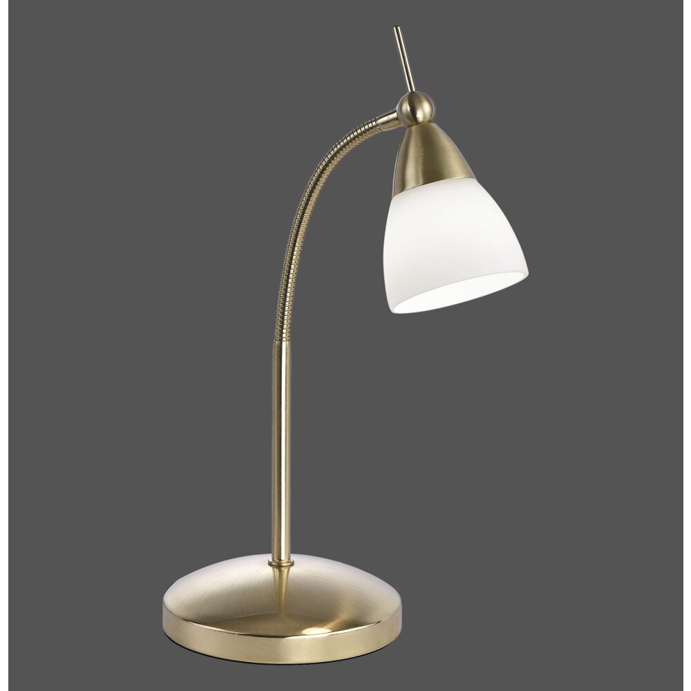 Paul Neuhaus PINO Bordslampa LED Mässing, 1-ljuskällor main product photo