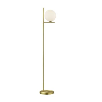Trio Lampor PURE Golvlampa, Läslampa Mässing, 1-ljuskällor