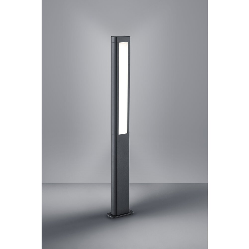 Trio Lampor RHINE Sockellampa LED Antracit, 2-ljuskällor main product photo