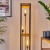 Apia Golvlampa ljusbrun, Silver, 3-ljuskällor