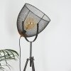 Wesa Golvlampa, Golvlampa Antik nickel, 1-ljuskällor
