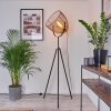 Wesa Golvlampa, Golvlampa Antik nickel, 1-ljuskällor