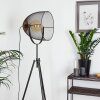 Wesa Golvlampa, Golvlampa Antik nickel, 1-ljuskällor