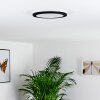 Siguna Taklampa LED Svart, 1-ljuskällor
