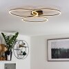 Johsa Taklampa LED Svart, 3-ljuskällor