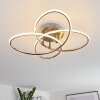 Sucre Taklampa LED Stål borstat, 4-ljuskällor