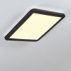 Siguna Taklampa, Panel LED Svart, Vit, 1-ljuskällor