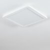 Siguna Taklampa, Panel LED Vit, 1-ljuskällor