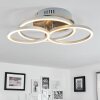 Malanje Taklampa LED Nickel matt, 3-ljuskällor
