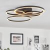 Malanje Taklampa LED Svart, 4-ljuskällor