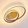 Leksund Taklampa LED Guld, 2-ljuskällor