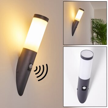 Gaborone Utomhusbelysning, vägglampa utomhus Antracit, 1-ljuskällor, Rörelsedetektor