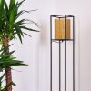 Kabul Golvlampa, Golvlampa Guld, Svart, 1-ljuskällor