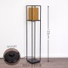 Kabul Golvlampa, Golvlampa Guld, Svart, 1-ljuskällor