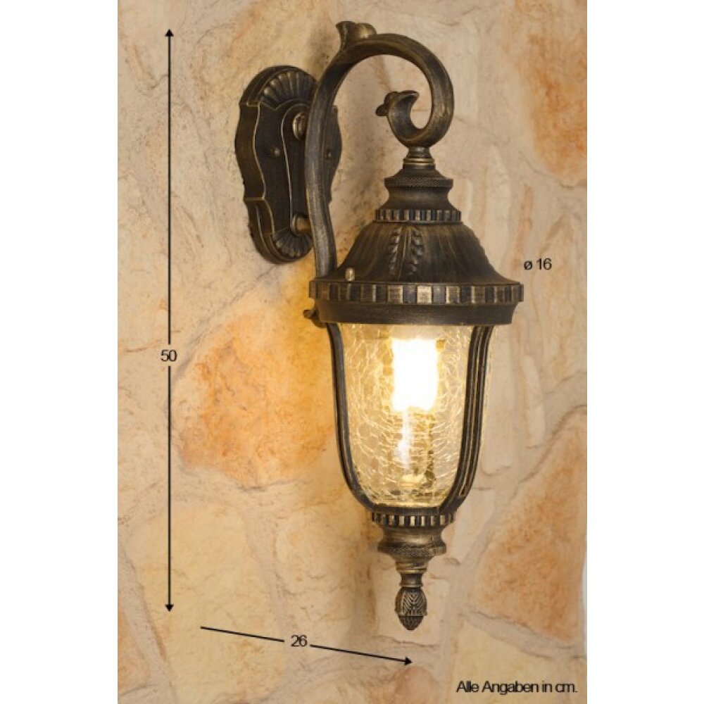Orion vägglampa utomhus Genomskinlig, klar main product photo