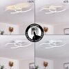 Guinea Taklampa LED Vit, 2-ljuskällor