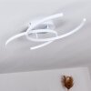 Guinea Taklampa LED Vit, 2-ljuskällor