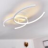 Guinea Taklampa LED Vit, 2-ljuskällor