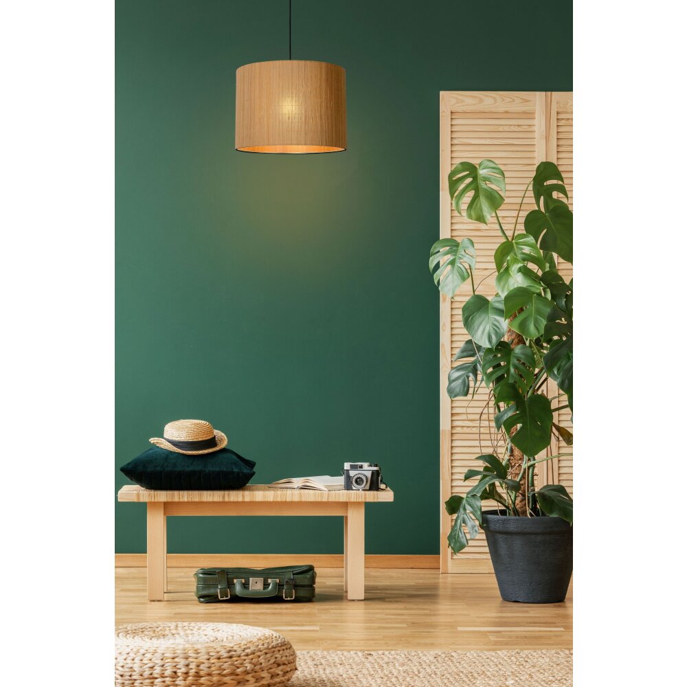 Lucide MAGIUS Pendelbelysning Svart, 1-ljuskällor main product photo