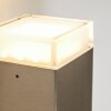 Tibor vägglampa utomhus, Vägglampa LED Färg i rostfritt stål, 2-ljuskällor
