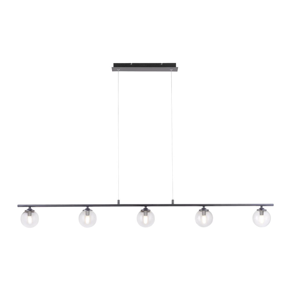 Paul Neuhaus Lampor WIDOW Pendelbelysning LED Svart, 5-ljuskällor main product photo