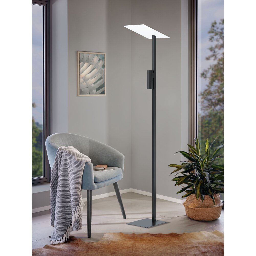 Eglo BUDENSEA Golvlampa LED Svart, Vit, 2-ljuskällor main product photo