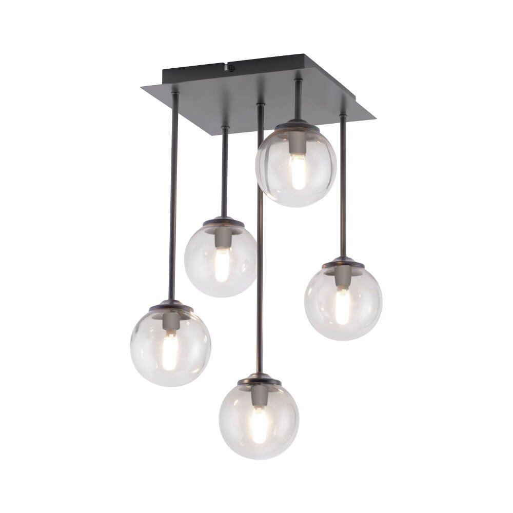 Paul Neuhaus Lampor WIDOW Taklampa LED Svart, 5-ljuskällor main product photo
