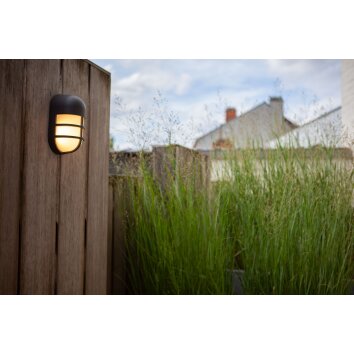 Lutec Lampor Bullo vägglampa utomhus, Vägglampa LED Brun, Rostfärger, 1-ljuskällor