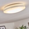 Niebla Taklampa, Panel LED Vit, 1-ljuskällor