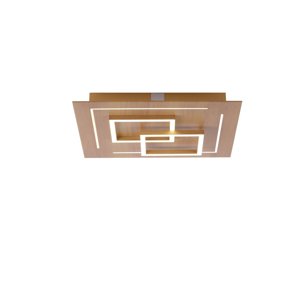 Paul Neuhaus Q-Serie Q-LINEA Taklampa LED Trä ljus, 4-ljuskällor, Fjärrkontroll main product photo