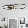 Malanje Taklampa LED Svart, 2-ljuskällor