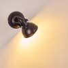 Tina Taklampa, Takstrålkastare, Vägglampa, Väggspotlight Svart, 1-ljuskällor