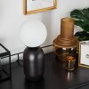Alolas Bordslampa Grått, 1-ljuskällor