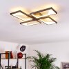 Haya Taklampa LED Svart, 4-ljuskällor