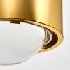 Sapri Up & Down Lampa, Vägglampa, Vägglampa med lins Guld, 1-ljuskällor