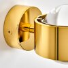 Sapri Up & Down Lampa, Vägglampa, Vägglampa med lins Guld, 1-ljuskällor