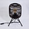 Mongolei Bordslampa Svart, 1-ljuskällor