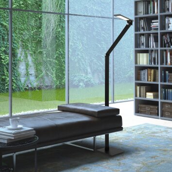 Steinhauer Serenade Golvlampa, Golvlampa, Läslampa LED Svart, Vit, 1-ljuskällor