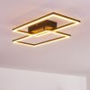 Cheka Taklampa LED Svart, 2-ljuskällor, Fjärrkontroll