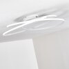 Chute Taklampa LED Vit, 1-ljuskällor